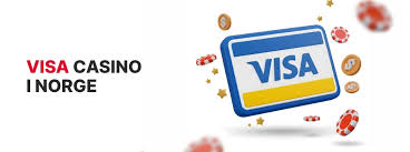 Den Ultimative Guide til Visa Casinoer -391906715